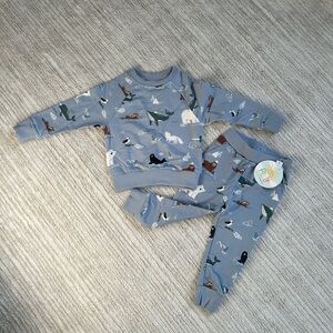 Little Sleepies Blue Animal Print Kids Matching Set